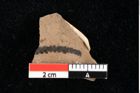 Foto (Detailansicht) von Widdringtonia ungeri Endl. (NHMW-GEO-2024-0188-0144)